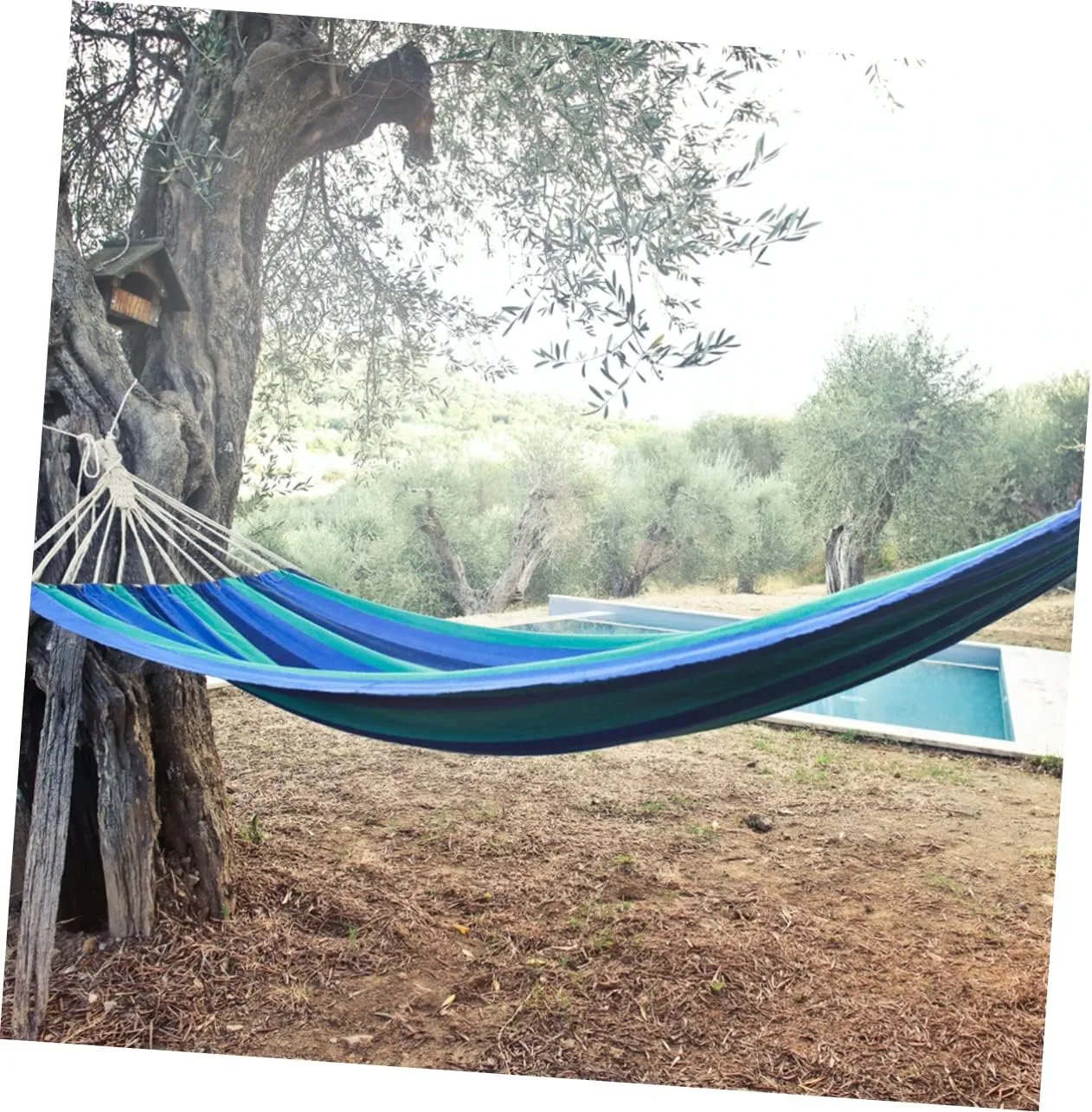 Camping Hammock Portable Hammock Single Person Hammock Multi-functional Hammock Stripe Pattern Hammock Hammack Outdoor Hanging Swing Bed Garden Hammock Travel Hammock Thicken Rope (Blue 200.00X80.00X