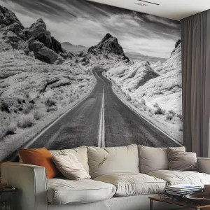 Canvas Wall Mural Scenic Road Valley Fire State Park Peel and Stick Wallpaper Removable Self-Adhesive Wall Sticker Wall Decor for Bedroom Nursery Decor 69"x98"
