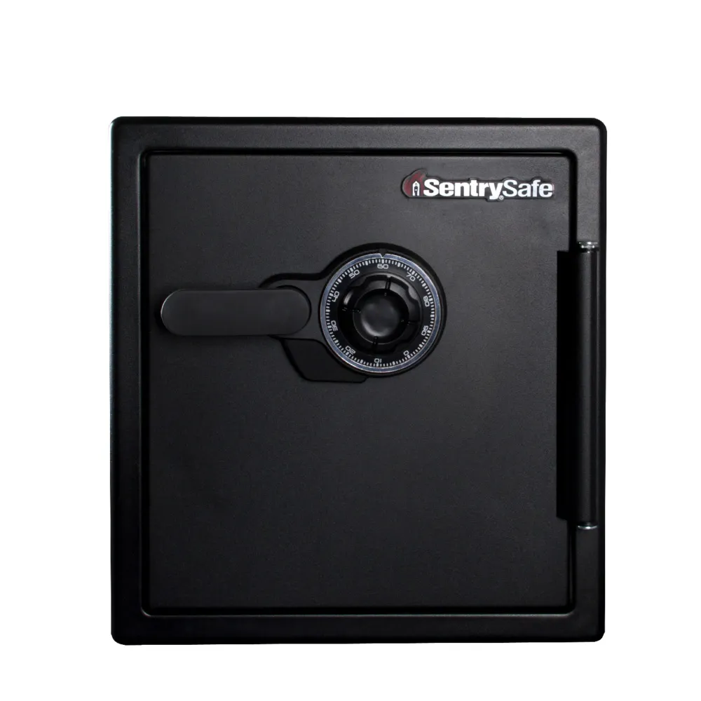Combination Fire/Water Safe SFW123CS