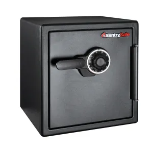 Combination Fire/Water Safe SFW123CTB