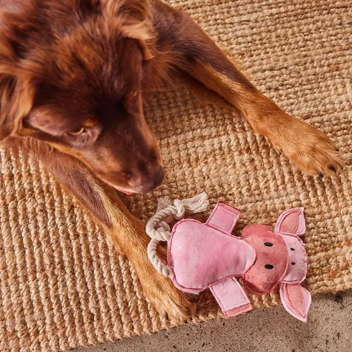 Happy Tails - Pig Farmyard Toy