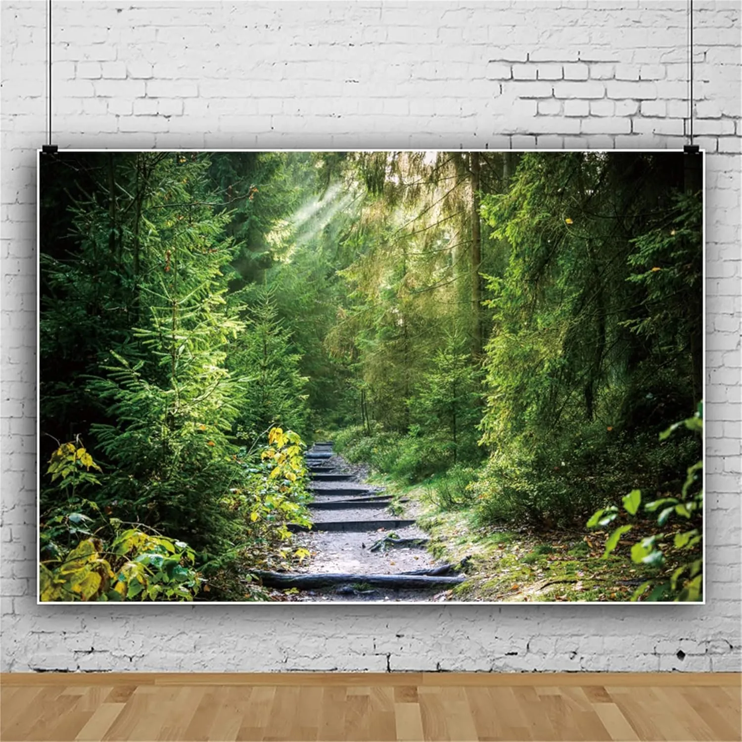 Jungle Forest Backdrop 10x8ft Nature Scenery Green Trees Rainforest Background Rainforest Summer Landscape Backdrops Camping Themed Baby Shower Birthday Photography Backdrop