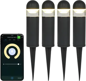 LED Landscape Bollard Pathway Light, 2W, DC 12V Low Voltage Path Lighting Outdoor Waterproof, Die-Casted Aluminum Housing for Garden Light, 3000K Colorful Pack of 4 WiFi BLE