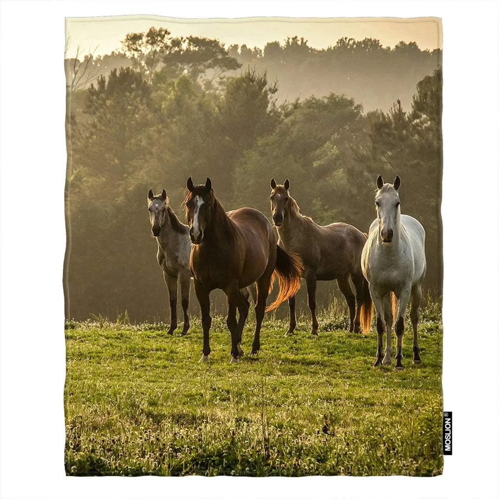 Moslion Soft Cozy Throw Blanket Horse On The Prairie Pasture Fuzzy Warm Couch/Bed Blanket for Adult/Youth Polyester 60 X 80 Inches(Home/Travel/Camping Applicable)