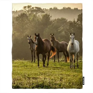 Moslion Soft Cozy Throw Blanket Horse On The Prairie Pasture Fuzzy Warm Couch/Bed Blanket for Adult/Youth Polyester 60 X 80 Inches(Home/Travel/Camping Applicable)