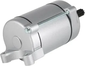 Motorcycle Electric Starter Motor Compatible With Daelim VC125 VJ125 VS125 Evolution Evo VT125 VL/VL Classic VL125 Fi OEM:31200-BA7-9000