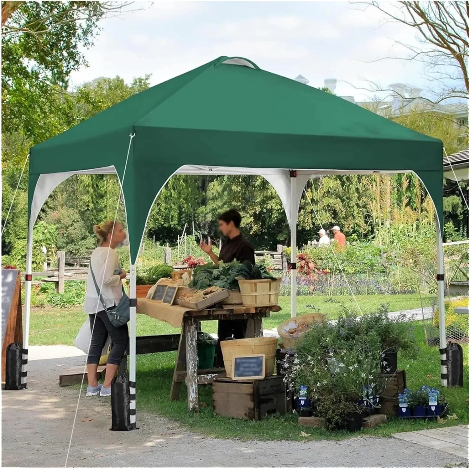 Outdoor Pop Up Tent 10x10 Pop Up Canopy Tent with Vent, Easy Set Up Tent, Instant Sun Shelter Canopy with Wheeled Bag, 4 Sandbags, 12 Stakes(Color 15)