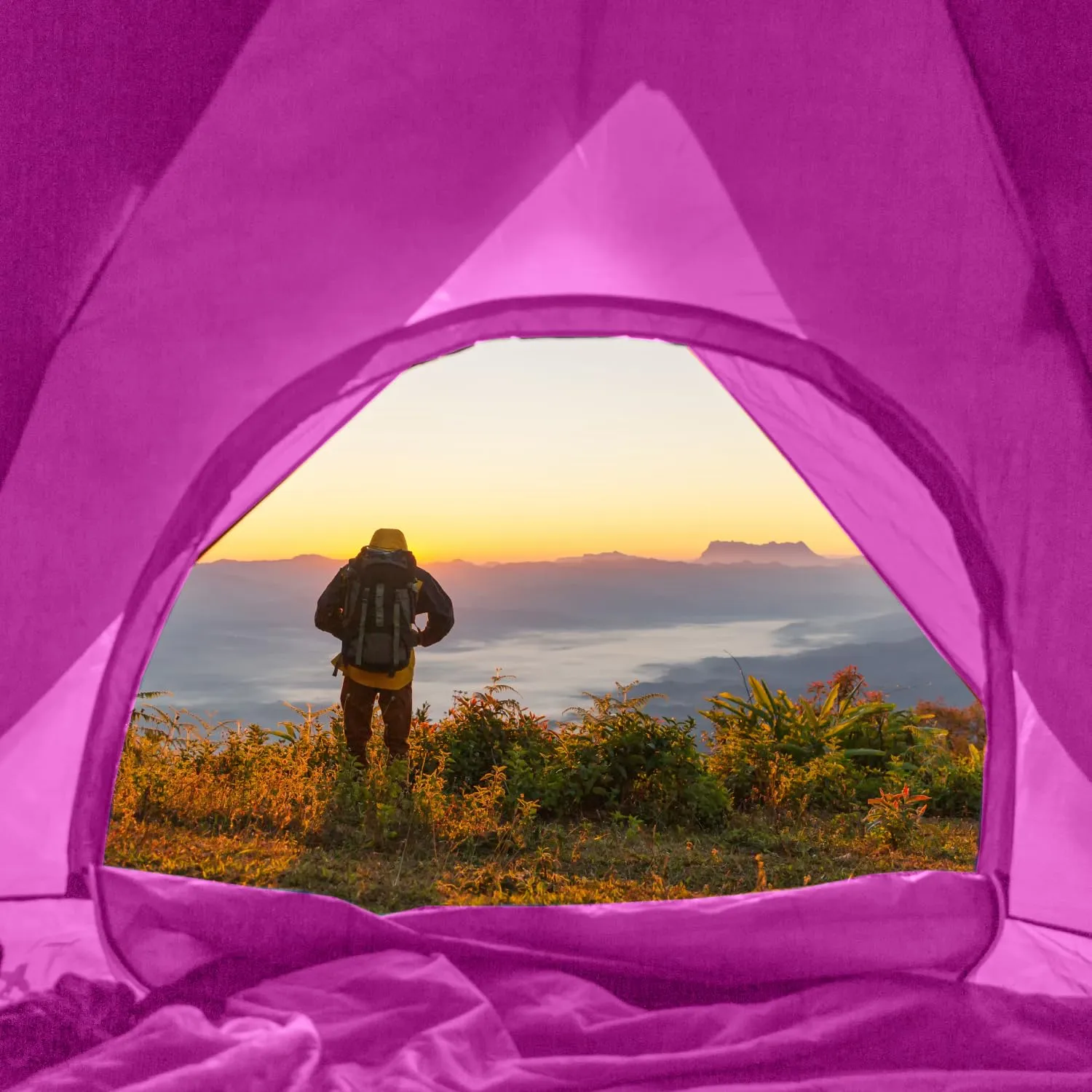 Strauss Outdoor Dome Tent: Waterproof Camping Tent | 4 Person | Blue & Green | 5-10 Minutes Setup