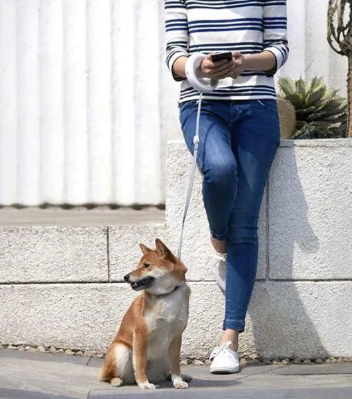 Xiaomi MOESTAR Retractable Dog Leash Ring
