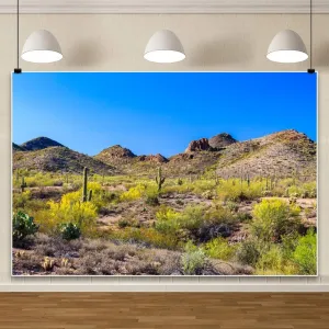 Yeele Desert Backdrop Western Cowboy Rodeo Cactus Mountain Plant Decorations Background Wild West Natural Scenery Saguaro Hunting Camping Party Wedding Newborn Baby Shower Banner Photo Booth 10x8ft